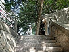 -福建师范大学(仓山校区)