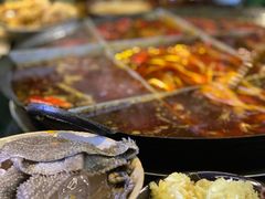 -肥龙火锅(南坪店)