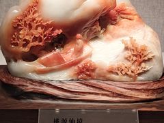 -湖南省地质博物馆