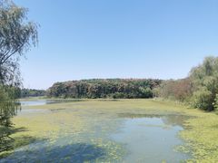 -昆山城市生态森林公园