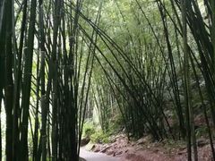 -四洞沟景区