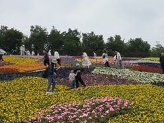 -沈阳植物园