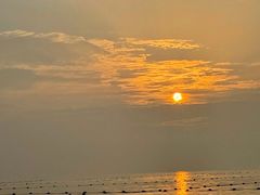 -渡海小渔村.老辈日照菜