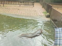 -海南热带野生动植物园