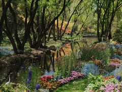 -上海共青森林公园