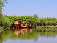 -广富林郊野公园