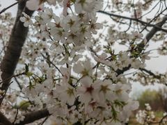 -淇河国家湿地公园