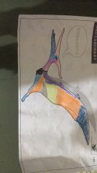 -恐龙探索乐园(磁器口店)