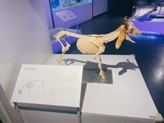 -生命奥秘博物馆