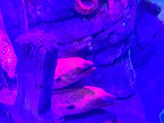 -沈阳海洋探索中心