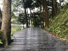 -广州市石门国家森林公园