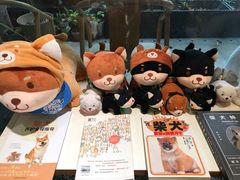 -柴务处·柴犬主题狗咖