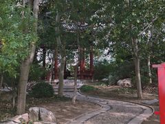 -塘沽森林公园