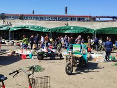 -何庄子阿米玛玛农产品批发市场