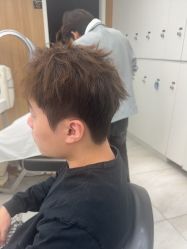 点击看大图 -京世沙龙