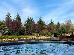 -芭东小镇温泉
