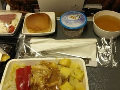 -新加坡航空公司(ION)