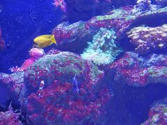 -成都浩海立方海洋公园