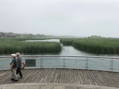 -苏州太湖国际会议中心