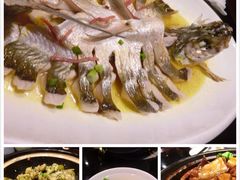 柳园春天特色餐厅-柳园春天特色餐厅(南浔古镇店)