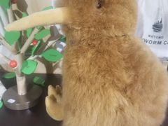 -怀托摩萤火虫洞