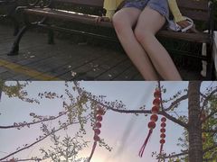 -九龙湖公园