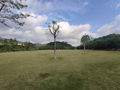 -大屏嶂森林公园
