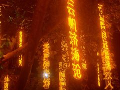 -丹樱生态园