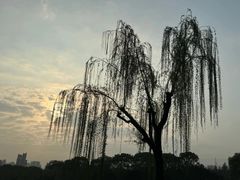 -黄兴公园