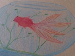 菜单的图画-fishtank鱼缸咖啡(三山街店)