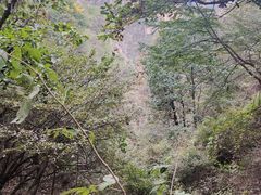 -狼牙山风景区