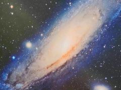 -志强陨石馆(双季花艺店)