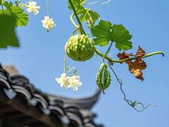 -爱定格照相馆.证件照(周浦万达店)