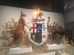 -墨尔本博物馆(Melbourne Museum)