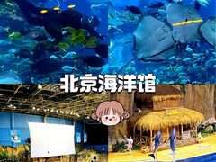 -北京海洋馆