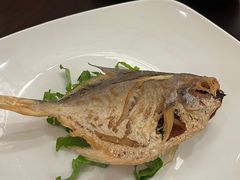 -京香轩·中餐厅(上海中庚聚龙酒店)