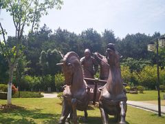 -铁山坪森林公园