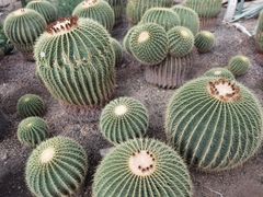 -国家植物园