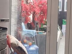 -毛辣果·贵州红酸汤牛肉火锅(西单店)