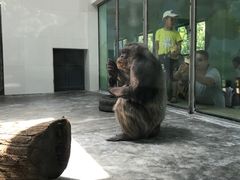 -西安秦岭野生动物园