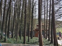 -采石矶景区