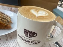 拿铁-喜马拉雅森HIMALAYAN FOREST