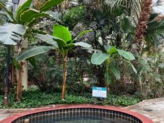 -龙达温泉生态城