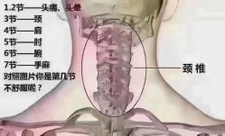 -香薇妮丝·定制减肥·身材管理