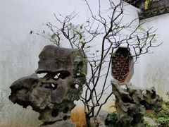 -苏州园林博物馆