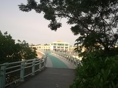 -万绿园