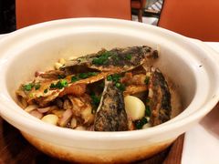 -清晖小苑•顺德地方菜(壹海城店)