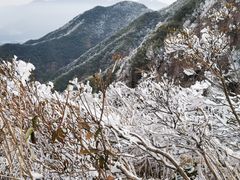-金子山原生态旅游风景区