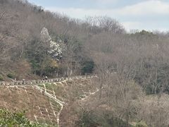 -南京市江宁方山