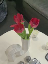 -春田皮肤管理中心品牌旗舰店